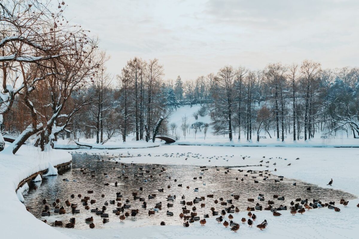 Bucharest frozen in time