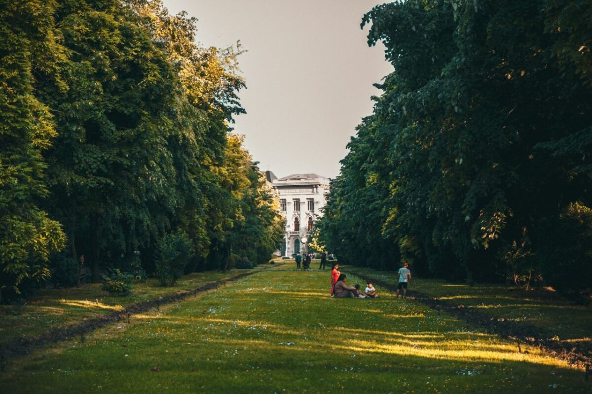 beautiful image of Cimigiu Park in Bucharest