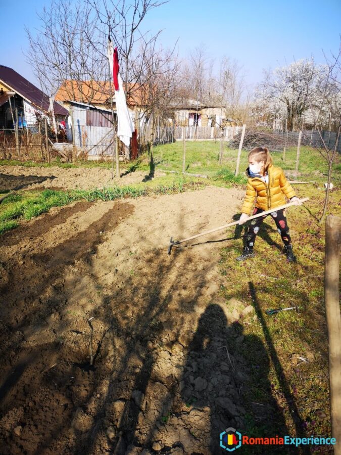 my son planting vegetables