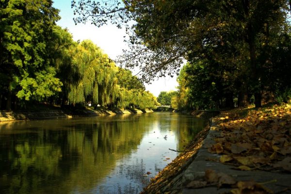 View of the Bega river from a park