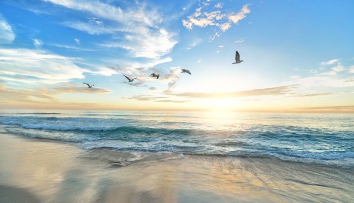best hotels in mamaia featured