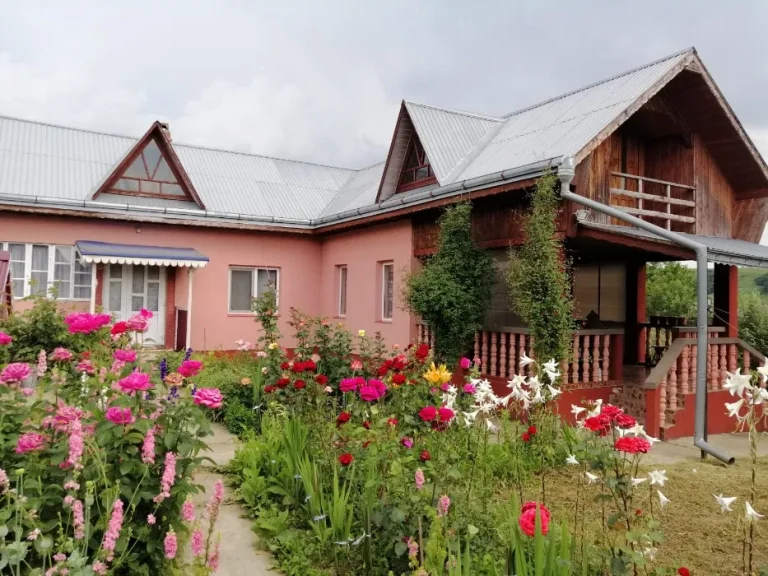 cheap village house