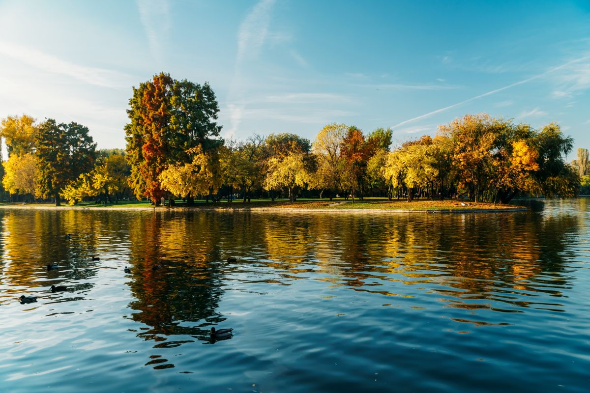 bucharest herastrau park