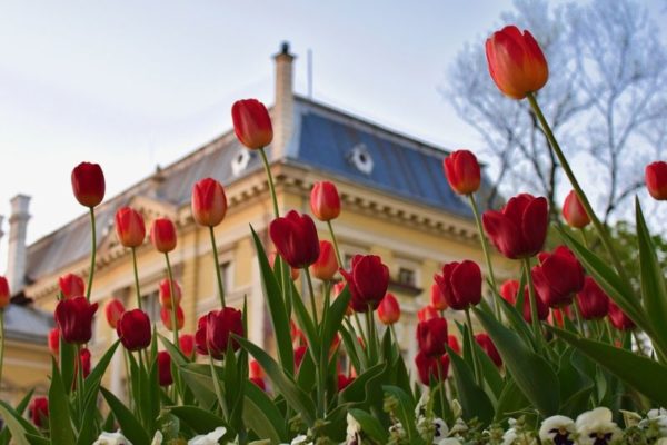 romania vs hungary tourism