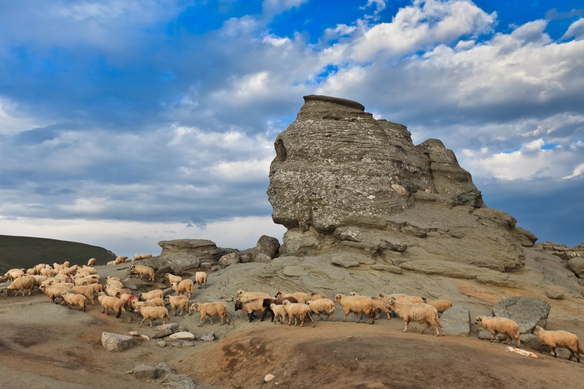 the sphinx in Romania