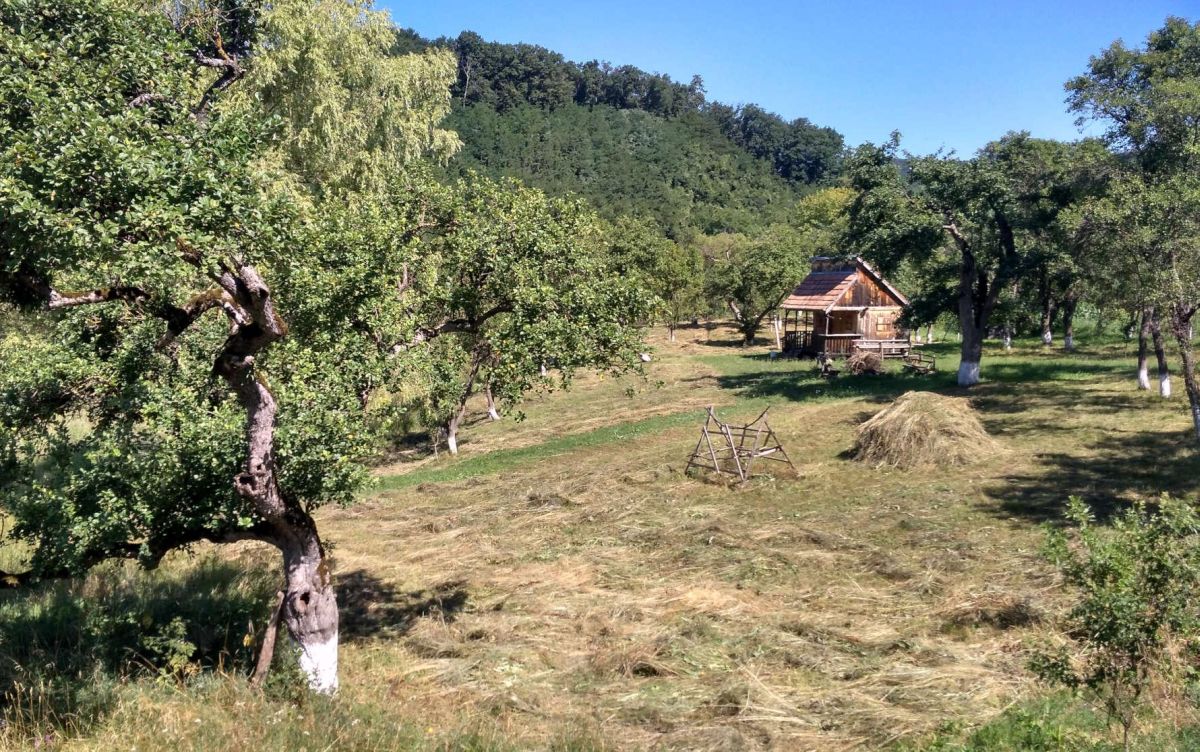 living in a transylvanian village featured