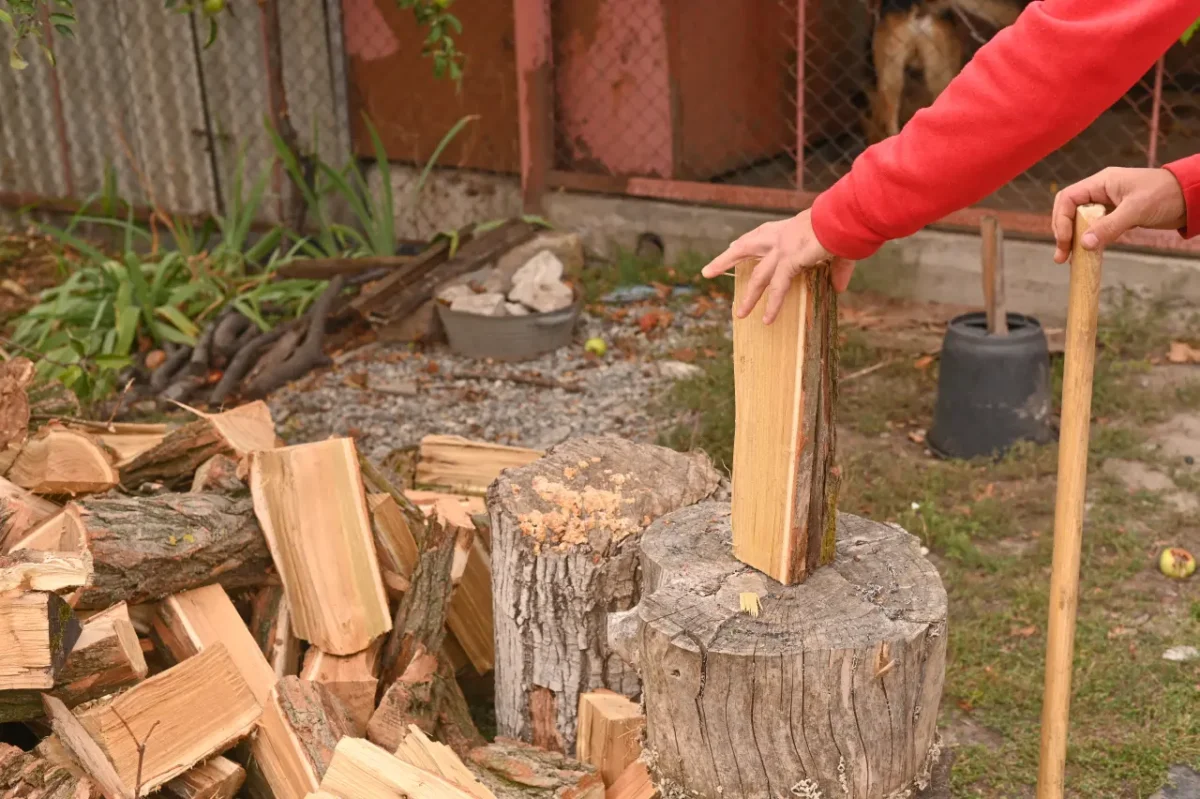 cutting wood for the winter
