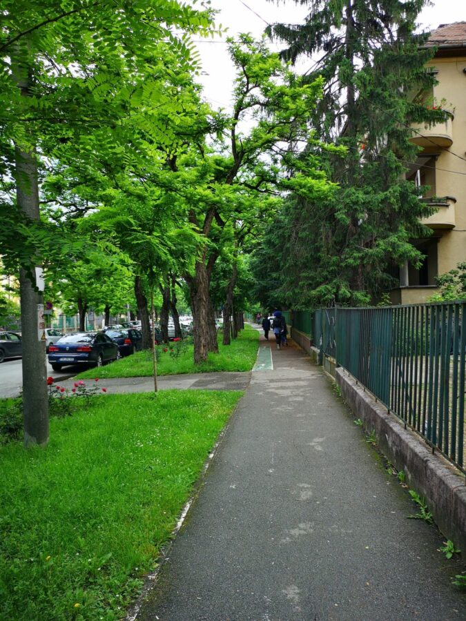 green spaces in the city