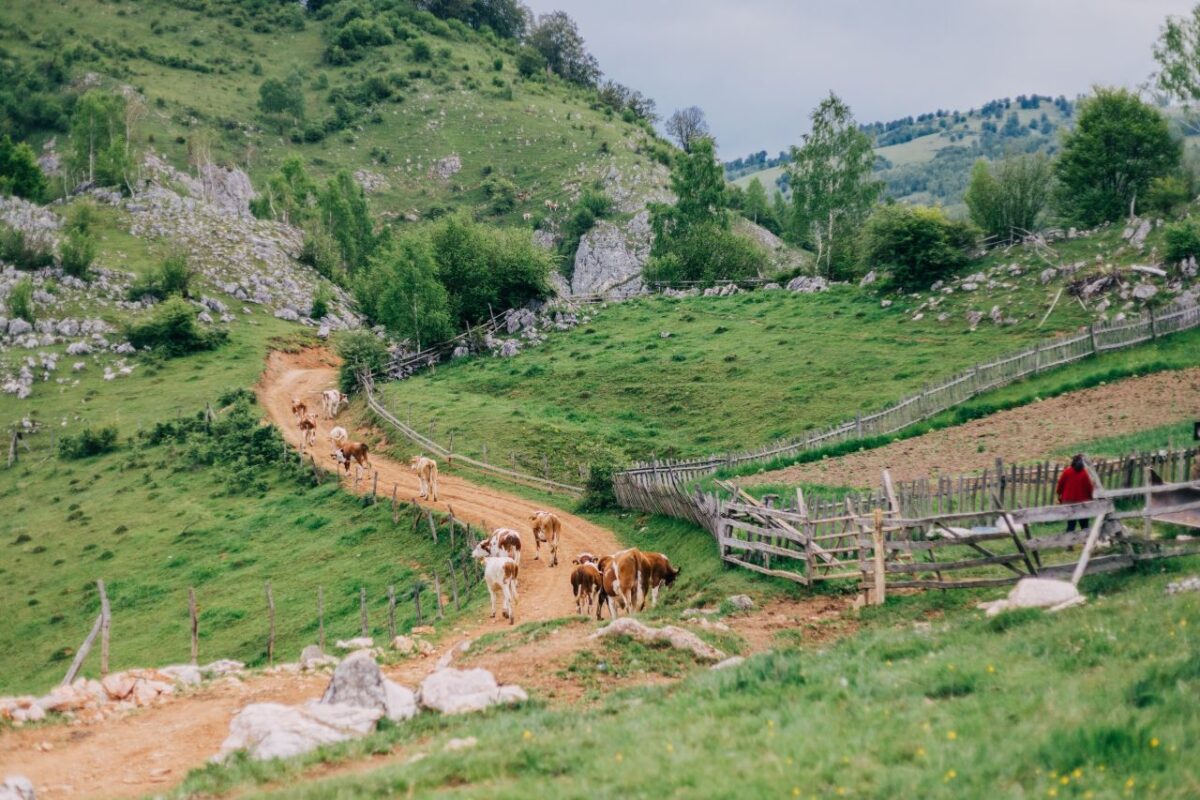 remote Romanian village