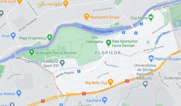 Plopilor neighborhood map