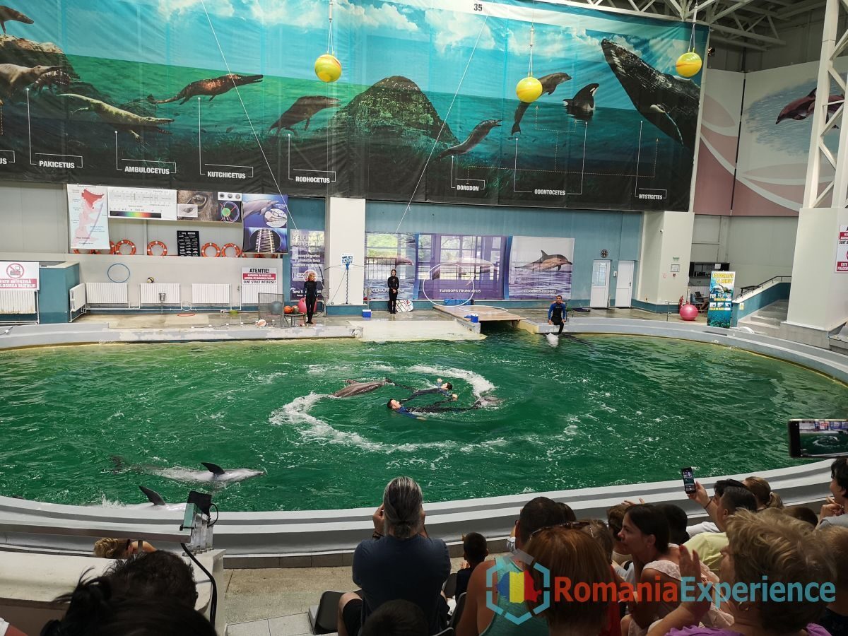 dolphinarium Constanta