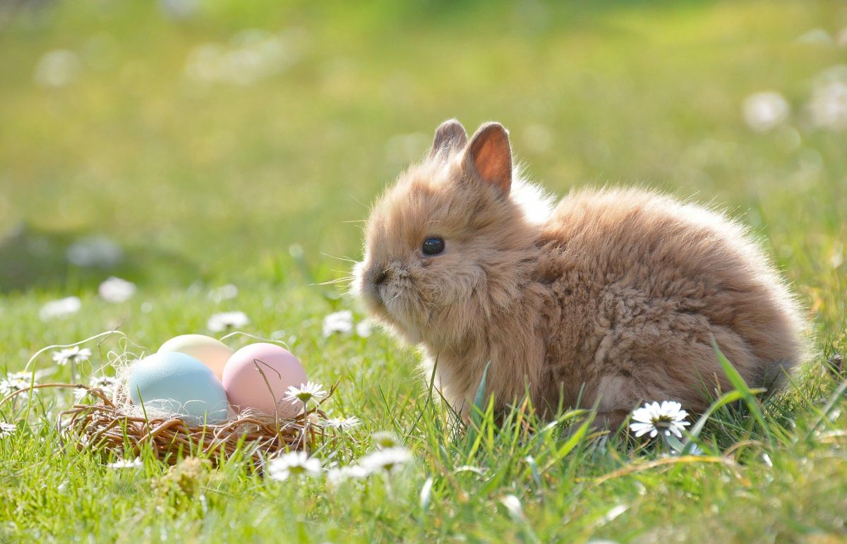 how to say happy easter in Romanian