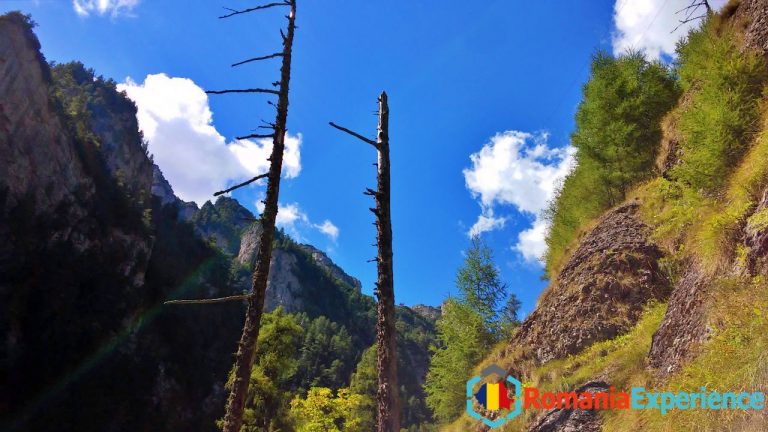 Bucegi Mountains Romania