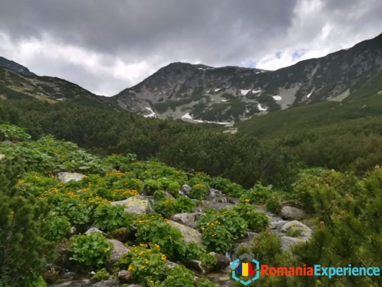 Retezat Mountains Romania