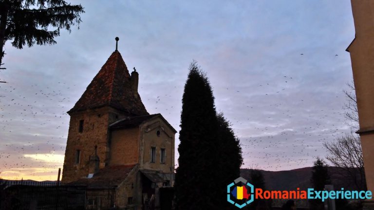 Sighisoara destination for the winter