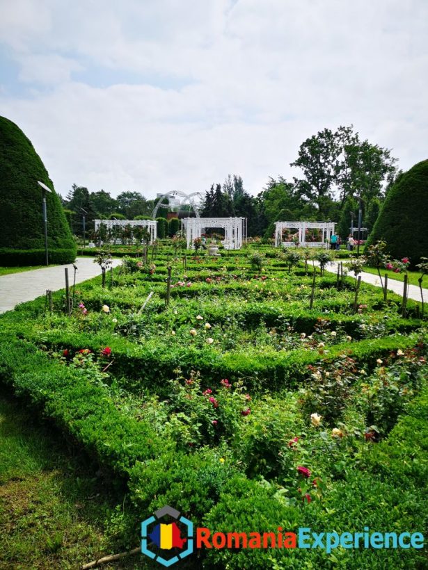 botanical garden timisoara