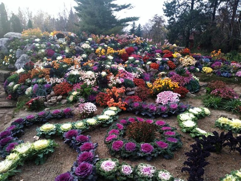 iasi botanical garden