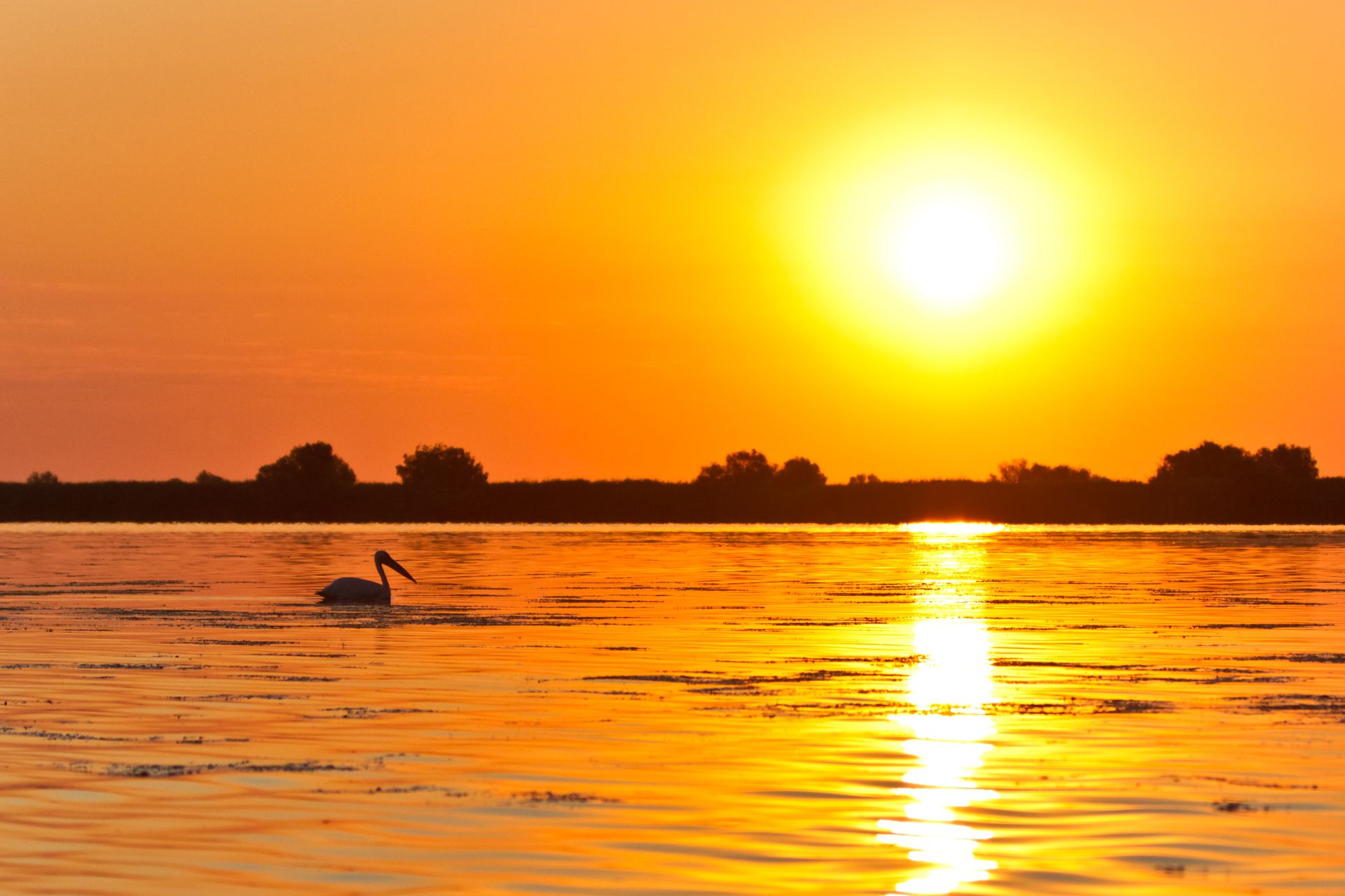 best time of the year to visit the Danube Delta