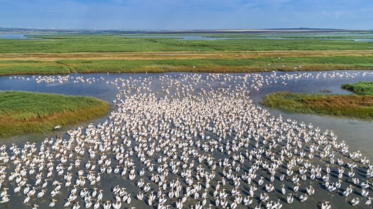 danube delta in autumn