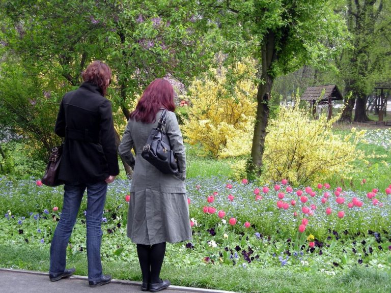 herastrau park flowers