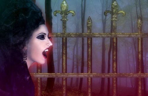 Were-Wolf and Vampire in Romania by Harry A. Senn