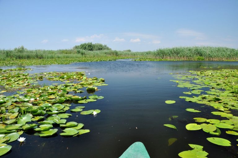 visting danube delta in spring