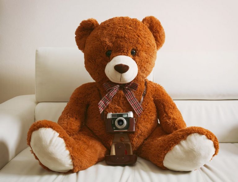 brown teddy bear