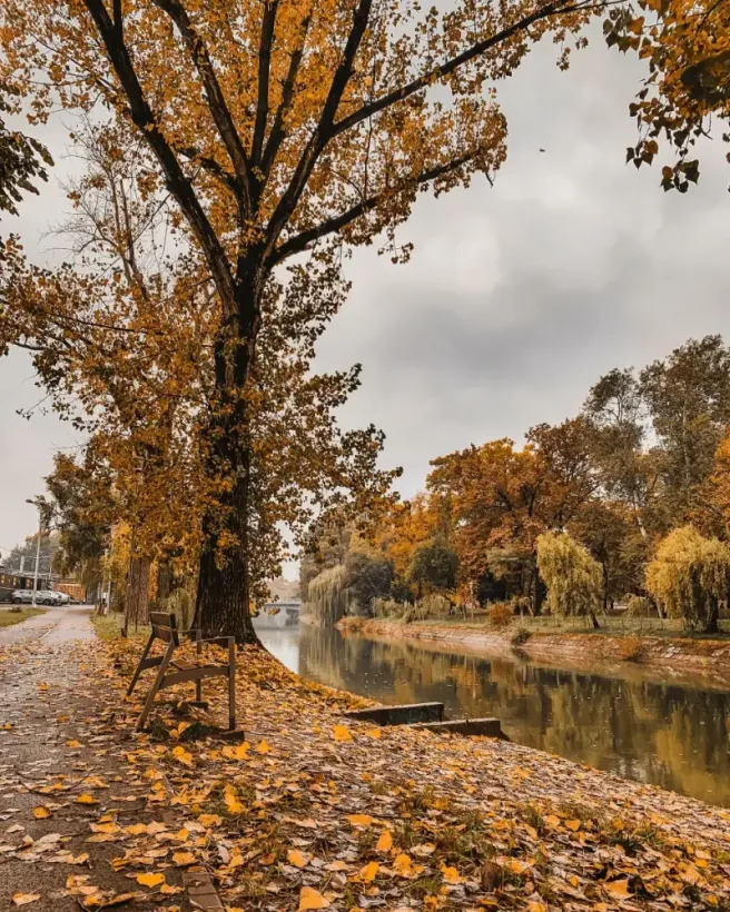 amazing parks in timisoara