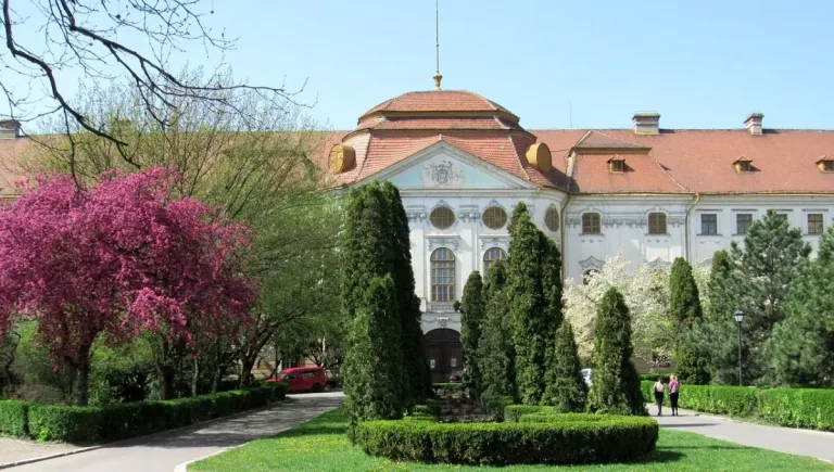 baroque complex oradea