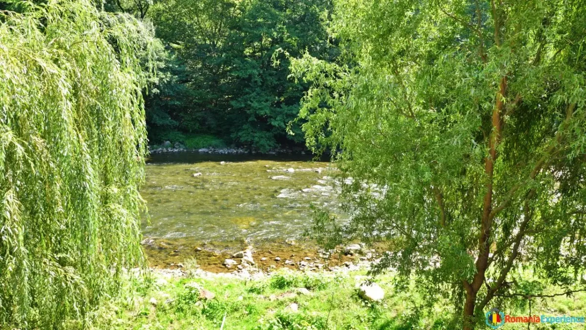 Beautiful Nature