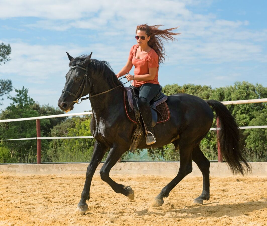 horse riding in Sighisoara