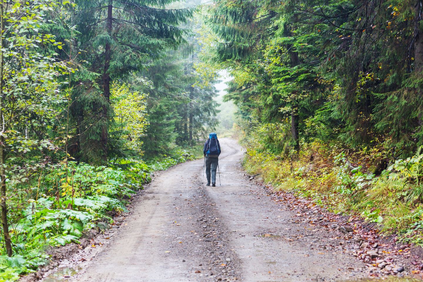 biking and hiking in Transylvania