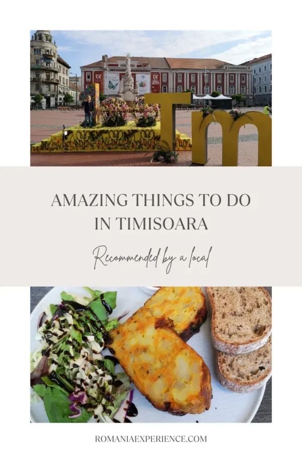 things to do in Timisoara Pinterest Pin