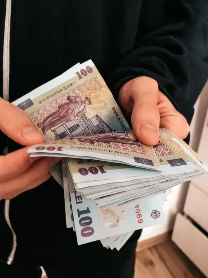 Romanian 100 Lei Bills