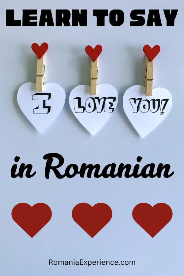 Say I Love You in Romanian Language Pin