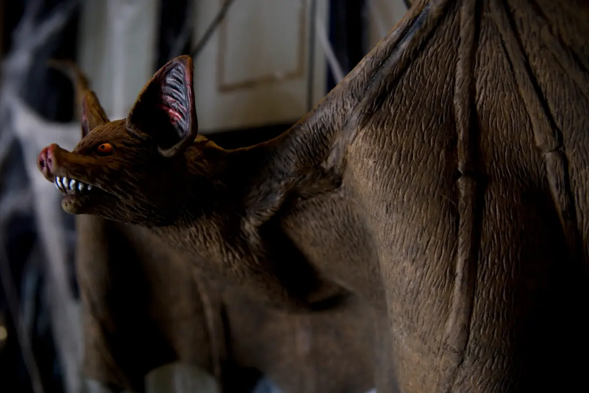 vampire bat decoration
