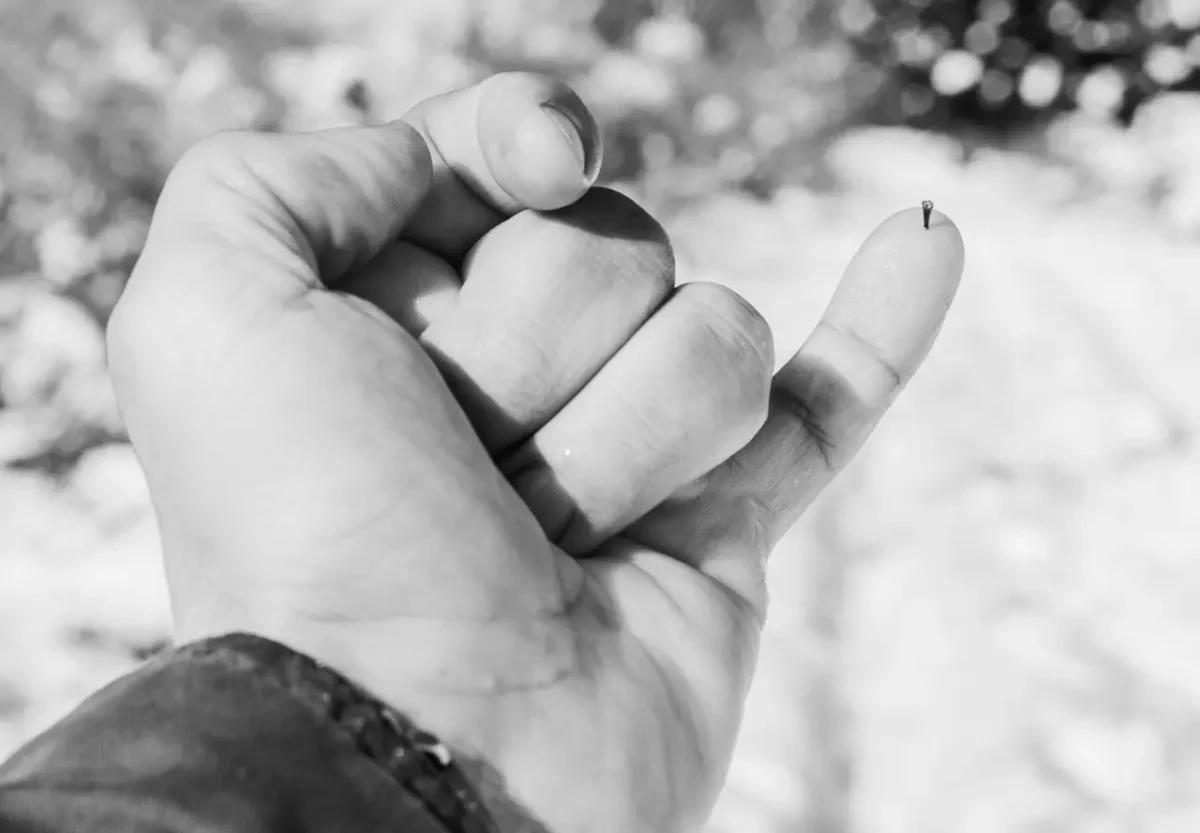 taking a spike in the finger
