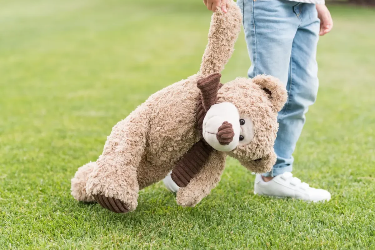 walking the bear