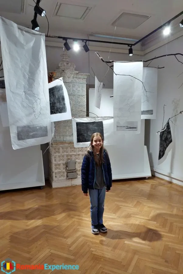 Brasov Museum of Art