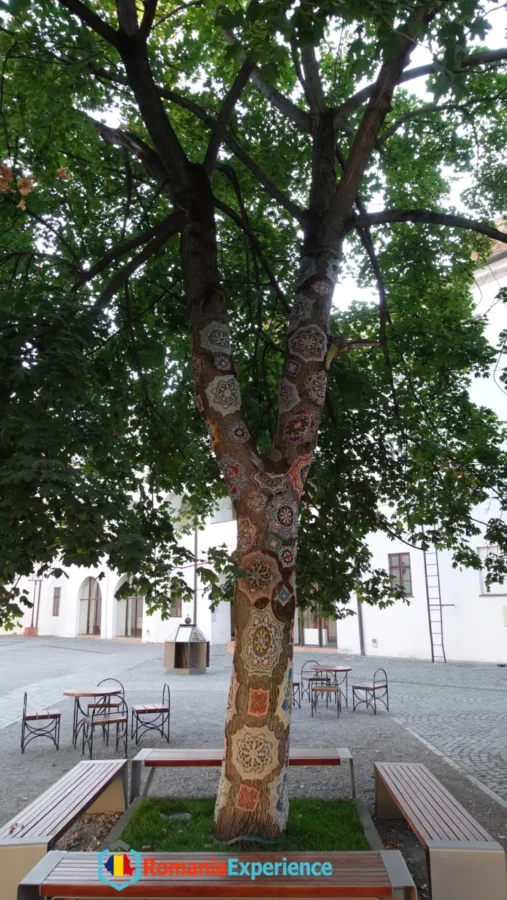 beautiful art tree inside the citadel