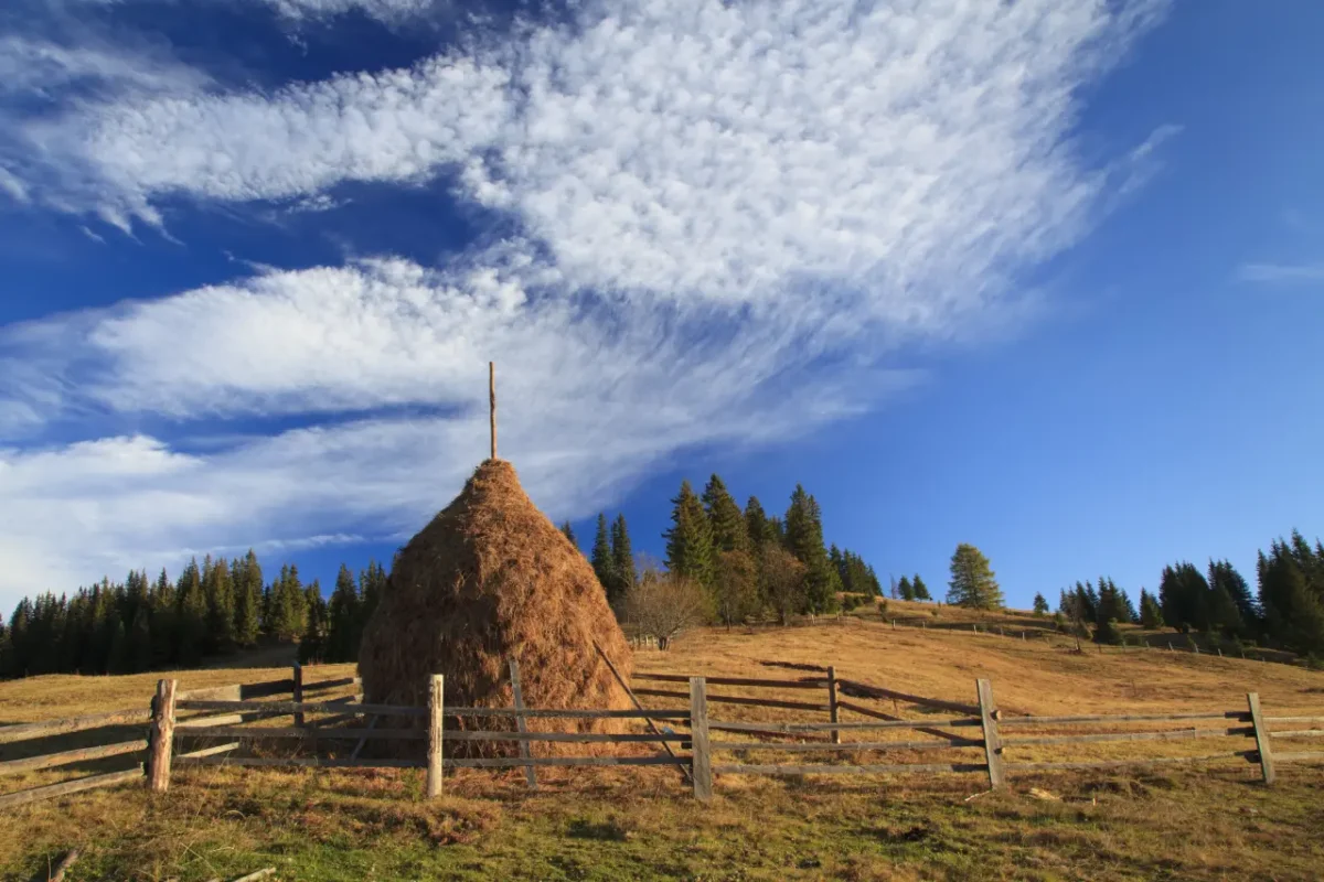 rural maramures