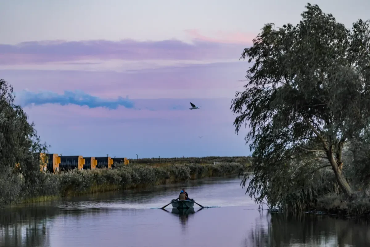 amazing view of the Danube delta