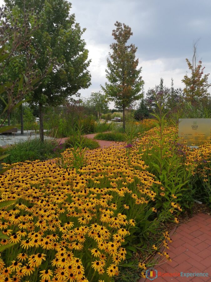 Therme Bucharest Outdoors Area