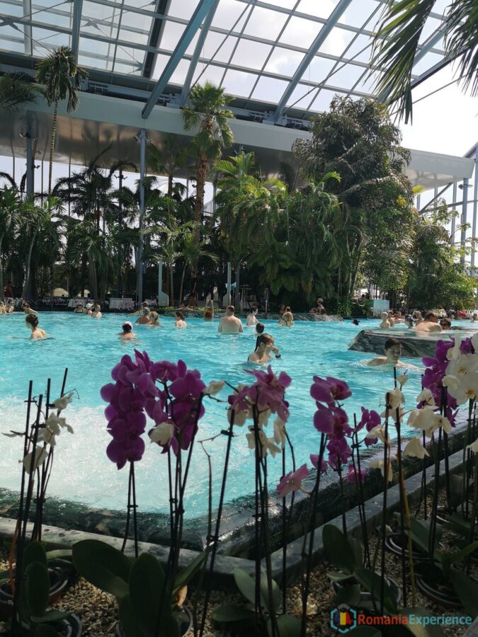 Therme The Palm Pool