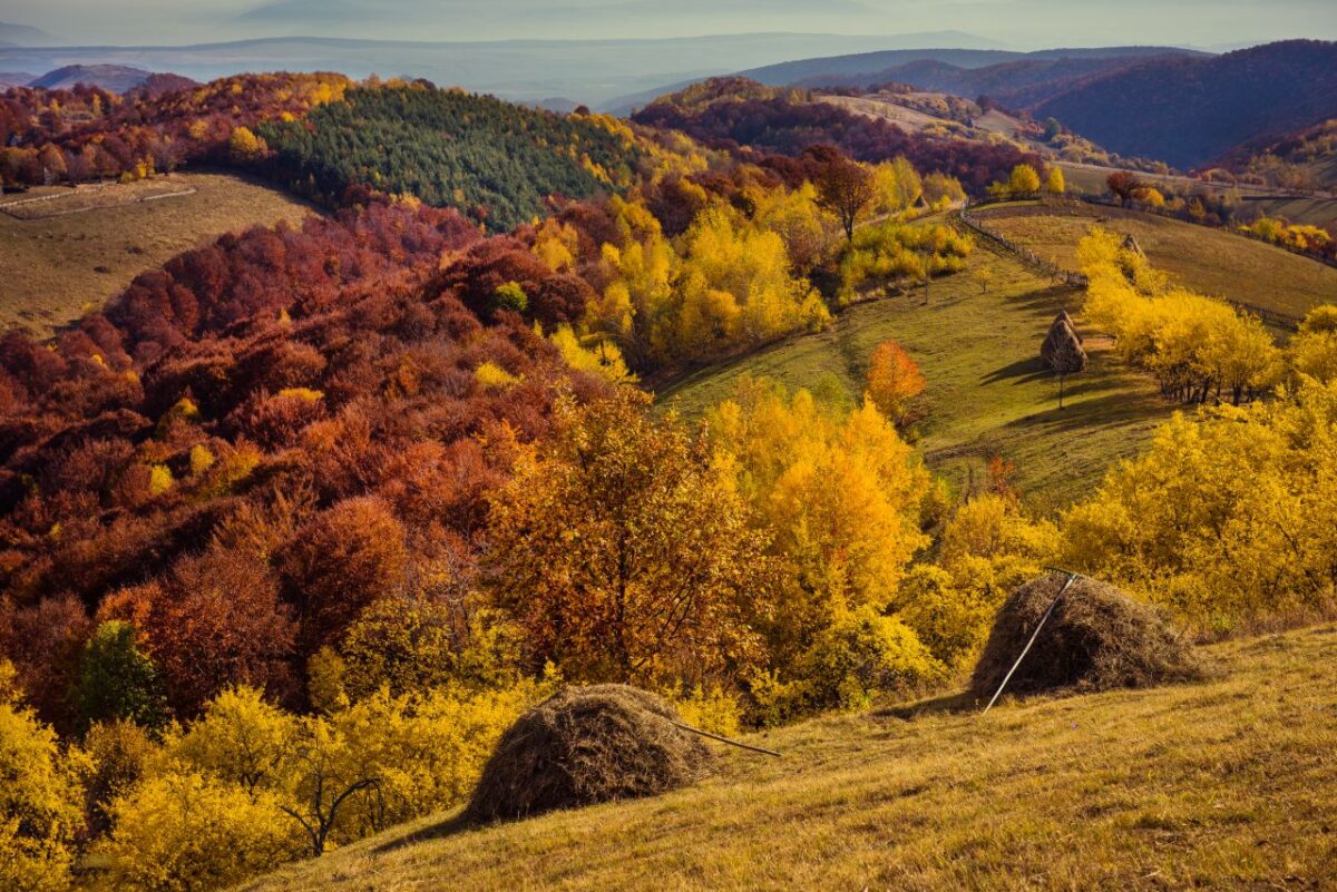 unspoiled nature in Transylvania