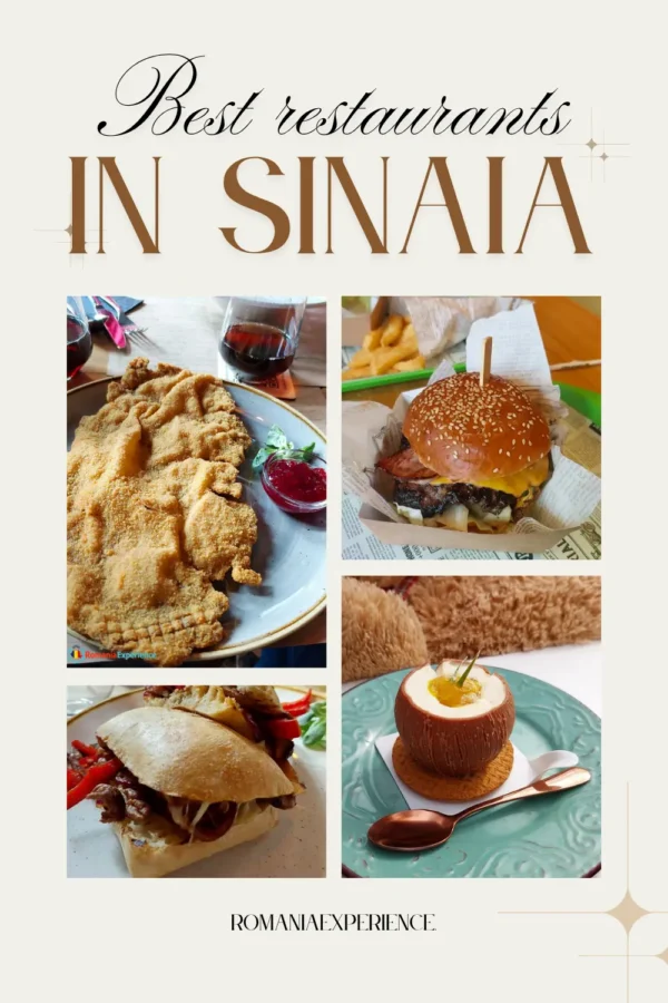 Best Restaurants in Sinaia Pinterest Pin