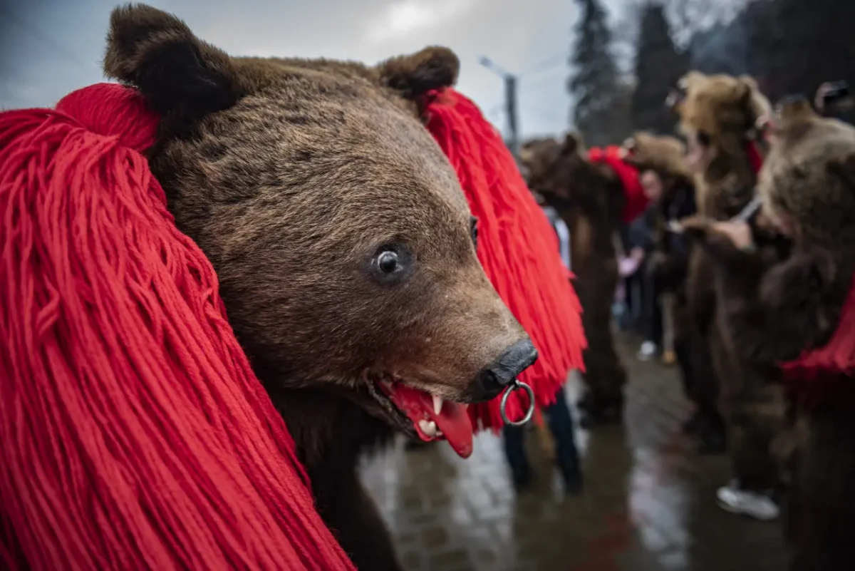 New Year Bear Dance in Romania