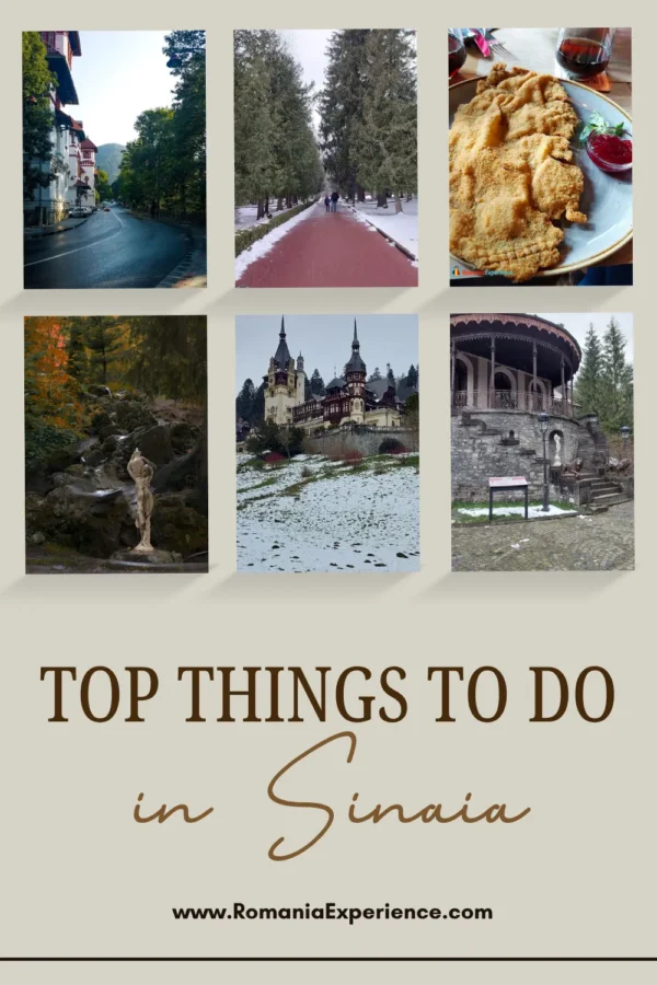 Things to Do in Sinaia Pinterest Pin