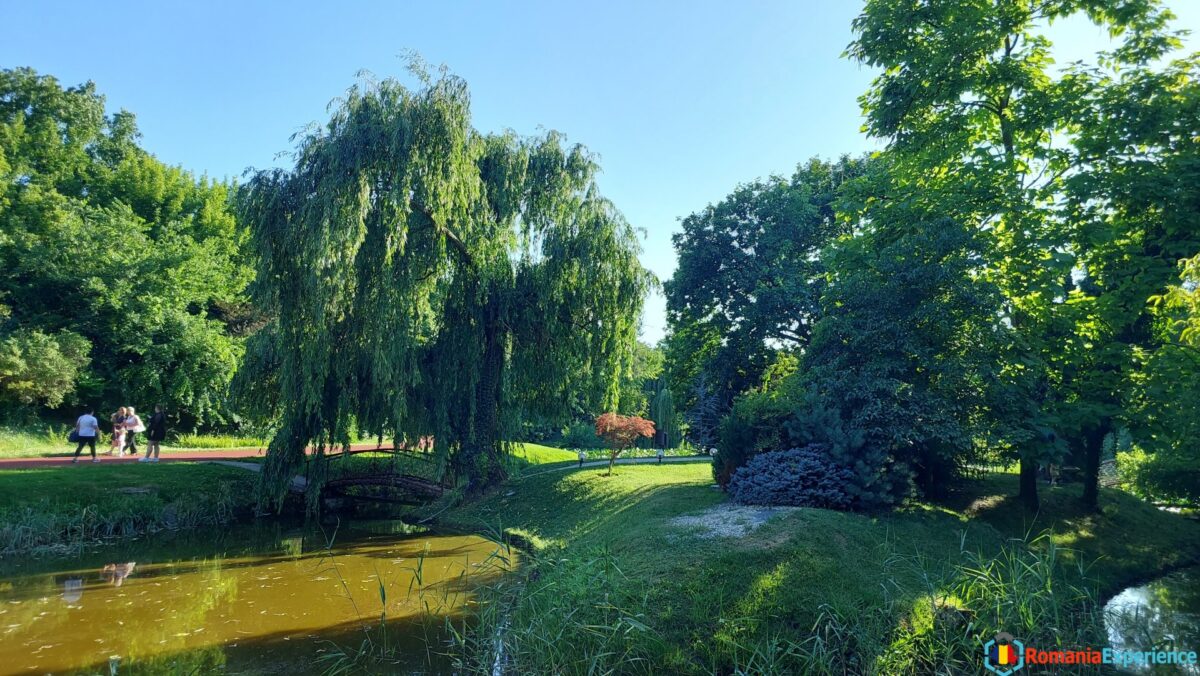 Best things to do in Craiova Romania