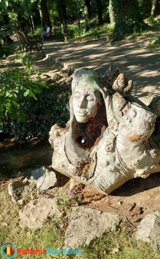 Tree Trunk Sculpture in the Botanical Garden